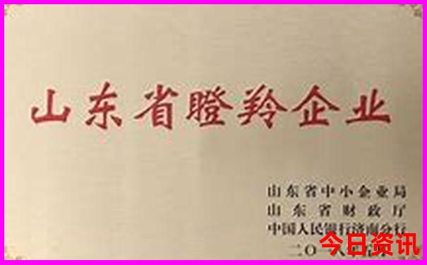 甘肃省适合夏天避暑的地方